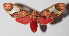  ( - 14-SRNP-58261)  @14 [ ] CreativeCommons  Attribution Non-Commercial Share-Alike (2016) Unspecified Guanacaste Dry Forest Conservation Fund