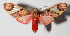  ( - 14-SRNP-58268)  @14 [ ] CreativeCommons  Attribution Non-Commercial Share-Alike (2016) Unspecified Guanacaste Dry Forest Conservation Fund