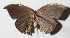  ( - 14-SRNP-58353)  @12 [ ] CreativeCommons  Attribution Non-Commercial Share-Alike (2016) Unspecified Guanacaste Dry Forest Conservation Fund