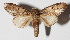  ( - 14-SRNP-58420)  @14 [ ] CreativeCommons  Attribution Non-Commercial Share-Alike (2016) Unspecified Guanacaste Dry Forest Conservation Fund