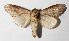  ( - 14-SRNP-58420)  @14 [ ] CreativeCommons  Attribution Non-Commercial Share-Alike (2016) Unspecified Guanacaste Dry Forest Conservation Fund