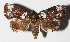  ( - 14-SRNP-58426)  @14 [ ] CreativeCommons  Attribution Non-Commercial Share-Alike (2016) Unspecified Guanacaste Dry Forest Conservation Fund