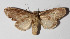  ( - 14-SRNP-58464)  @14 [ ] CreativeCommons  Attribution Non-Commercial Share-Alike (2016) Unspecified Guanacaste Dry Forest Conservation Fund