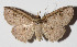  ( - 14-SRNP-58856)  @11 [ ] CreativeCommons  Attribution Non-Commercial Share-Alike (2016) Unspecified Guanacaste Dry Forest Conservation Fund