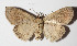  ( - 14-SRNP-58856)  @11 [ ] CreativeCommons  Attribution Non-Commercial Share-Alike (2016) Unspecified Guanacaste Dry Forest Conservation Fund