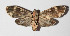  ( - 14-SRNP-58860)  @13 [ ] CreativeCommons  Attribution Non-Commercial Share-Alike (2016) Unspecified Guanacaste Dry Forest Conservation Fund