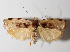  ( - 14-SRNP-65111)  @14 [ ] CreativeCommons  Attribution Non-Commercial Share-Alike (2016) Unspecified Guanacaste Dry Forest Conservation Fund