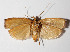  ( - 14-SRNP-65111)  @12 [ ] CreativeCommons  Attribution Non-Commercial Share-Alike (2016) Unspecified Guanacaste Dry Forest Conservation Fund