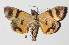  ( - 14-SRNP-65359)  @14 [ ] CreativeCommons  Attribution Non-Commercial Share-Alike (2016) Unspecified Guanacaste Dry Forest Conservation Fund