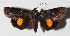  ( - 14-SRNP-67141)  @14 [ ] CreativeCommons  Attribution Non-Commercial Share-Alike (2016) Unspecified Guanacaste Dry Forest Conservation Fund