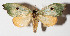  ( - 14-SRNP-67196)  @14 [ ] CreativeCommons  Attribution Non-Commercial Share-Alike (2016) Unspecified Guanacaste Dry Forest Conservation Fund