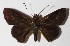  ( - 14-SRNP-67264)  @13 [ ] CreativeCommons  Attribution Non-Commercial Share-Alike (2016) Unspecified Guanacaste Dry Forest Conservation Fund