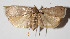  ( - 14-SRNP-70557)  @14 [ ] CreativeCommons  Attribution Non-Commercial Share-Alike (2016) Unspecified Guanacaste Dry Forest Conservation Fund