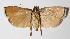  ( - 14-SRNP-70557)  @14 [ ] CreativeCommons  Attribution Non-Commercial Share-Alike (2016) Unspecified Guanacaste Dry Forest Conservation Fund
