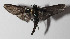  ( - 14-SRNP-70962)  @14 [ ] CreativeCommons  Attribution Non-Commercial Share-Alike (2016) Unspecified Guanacaste Dry Forest Conservation Fund