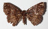  ( - 14-SRNP-71775)  @13 [ ] CreativeCommons  Attribution Non-Commercial Share-Alike (2016) Unspecified Guanacaste Dry Forest Conservation Fund