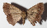  ( - 14-SRNP-71775)  @13 [ ] CreativeCommons  Attribution Non-Commercial Share-Alike (2016) Unspecified Guanacaste Dry Forest Conservation Fund