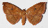  ( - 14-SRNP-72077)  @13 [ ] CreativeCommons  Attribution Non-Commercial Share-Alike (2016) Unspecified Guanacaste Dry Forest Conservation Fund