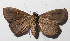  ( - 14-SRNP-72242)  @13 [ ] CreativeCommons  Attribution Non-Commercial Share-Alike (2016) Unspecified Guanacaste Dry Forest Conservation Fund