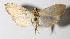  ( - 14-SRNP-76013)  @14 [ ] CreativeCommons  Attribution Non-Commercial Share-Alike (2016) Unspecified Guanacaste Dry Forest Conservation Fund