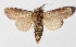  ( - 14-SRNP-76971)  @14 [ ] CreativeCommons  Attribution Non-Commercial Share-Alike (2016) Unspecified Guanacaste Dry Forest Conservation Fund