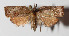  ( - 14-SRNP-77633)  @13 [ ] CreativeCommons  Attribution Non-Commercial Share-Alike (2016) Unspecified Guanacaste Dry Forest Conservation Fund