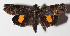  ( - 14-SRNP-81351)  @14 [ ] CreativeCommons  Attribution Non-Commercial Share-Alike (2016) Unspecified Guanacaste Dry Forest Conservation Fund