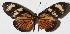  ( - 14-SRNP-81534)  @13 [ ] CreativeCommons  Attribution Non-Commercial Share-Alike (2016) Unspecified Guanacaste Dry Forest Conservation Fund