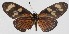  ( - 14-SRNP-81534)  @13 [ ] CreativeCommons  Attribution Non-Commercial Share-Alike (2016) Unspecified Guanacaste Dry Forest Conservation Fund