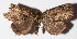  ( - 14-SRNP-81629)  @12 [ ] CreativeCommons  Attribution Non-Commercial Share-Alike (2016) Unspecified Guanacaste Dry Forest Conservation Fund