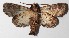  ( - 14-SRNP-81706)  @14 [ ] CreativeCommons  Attribution Non-Commercial Share-Alike (2016) Unspecified Guanacaste Dry Forest Conservation Fund