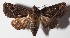  ( - 14-SRNP-81713)  @14 [ ] CreativeCommons  Attribution Non-Commercial Share-Alike (2016) Unspecified Guanacaste Dry Forest Conservation Fund