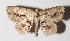  ( - 14-SRNP-81773)  @13 [ ] CreativeCommons  Attribution Non-Commercial Share-Alike (2016) Unspecified Guanacaste Dry Forest Conservation Fund