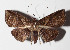  ( - 14-SRNP-81957)  @14 [ ] CreativeCommons  Attribution Non-Commercial Share-Alike (2016) Unspecified Guanacaste Dry Forest Conservation Fund