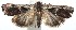  ( - 15-SRNP-100060)  @13 [ ] CreativeCommons  Attribution Non-Commercial Share-Alike (2016) Unspecified Guanacaste Dry Forest Conservation Fund