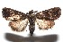  ( - 15-SRNP-100153)  @14 [ ] CreativeCommons  Attribution Non-Commercial Share-Alike (2016) Unspecified Guanacaste Dry Forest Conservation Fund