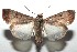  ( - 15-SRNP-100181)  @16 [ ] CreativeCommons  Attribution Non-Commercial Share-Alike (2016) Unspecified Guanacaste Dry Forest Conservation Fund