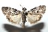  ( - 15-SRNP-100236)  @14 [ ] CreativeCommons  Attribution Non-Commercial Share-Alike (2016) Unspecified Guanacaste Dry Forest Conservation Fund