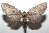  ( - 15-SRNP-100243)  @13 [ ] CreativeCommons  Attribution Non-Commercial Share-Alike (2016) Unspecified Guanacaste Dry Forest Conservation Fund