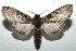  ( - 15-SRNP-100248)  @14 [ ] CreativeCommons  Attribution Non-Commercial Share-Alike (2016) Unspecified Guanacaste Dry Forest Conservation Fund