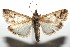  ( - 15-SRNP-100357)  @14 [ ] CreativeCommons  Attribution Non-Commercial Share-Alike (2016) Unspecified Guanacaste Dry Forest Conservation Fund