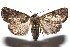  ( - 15-SRNP-100385)  @14 [ ] CreativeCommons  Attribution Non-Commercial Share-Alike (2016) Unspecified Guanacaste Dry Forest Conservation Fund