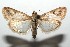  ( - 15-SRNP-100429)  @14 [ ] CreativeCommons  Attribution Non-Commercial Share-Alike (2016) Unspecified Guanacaste Dry Forest Conservation Fund