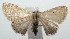  ( - 15-SRNP-100445)  @12 [ ] CreativeCommons  Attribution Non-Commercial Share-Alike (2016) Unspecified Guanacaste Dry Forest Conservation Fund
