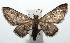  ( - 15-SRNP-100449)  @12 [ ] CreativeCommons  Attribution Non-Commercial Share-Alike (2016) Unspecified Guanacaste Dry Forest Conservation Fund