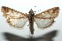  ( - 15-SRNP-100477)  @14 [ ] CreativeCommons  Attribution Non-Commercial Share-Alike (2016) Unspecified Guanacaste Dry Forest Conservation Fund