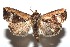  ( - 15-SRNP-100517)  @14 [ ] CreativeCommons  Attribution Non-Commercial Share-Alike (2016) Unspecified Guanacaste Dry Forest Conservation Fund