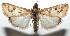  ( - 15-SRNP-100566)  @14 [ ] CreativeCommons  Attribution Non-Commercial Share-Alike (2016) Unspecified Guanacaste Dry Forest Conservation Fund