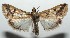  ( - 15-SRNP-100569)  @14 [ ] CreativeCommons  Attribution Non-Commercial Share-Alike (2016) Unspecified Guanacaste Dry Forest Conservation Fund