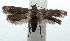  ( - 15-SRNP-100680)  @12 [ ] CreativeCommons  Attribution Non-Commercial Share-Alike (2016) Unspecified Guanacaste Dry Forest Conservation Fund